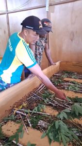 Satgas Pamtas RI-Malaysia Yonarmed 10/ Bradjamusti Berikan Penyuluhan Budidaya Jangkrik