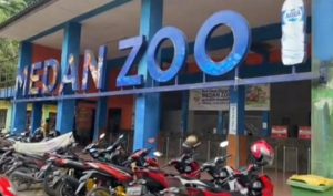 Sambut Wisatawan, Penutupan Medan Zoo Ditunda Sampai Selesai Lebaran
