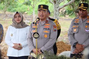 Polisi Kembali Temukan 5 Hektar Lebih Lahan Ganja di Madina