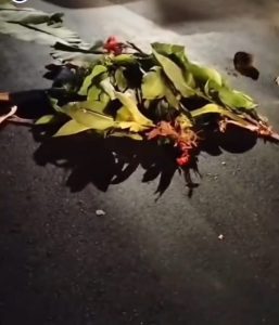 Satu Keluarga Tewas Kecelakaan di Sibolangit