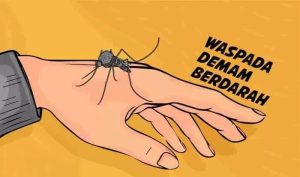Hingga Agustus 2024, Kasus DBD Sumut Meningkat 5.853