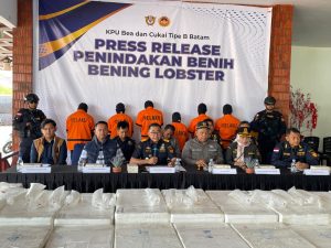 Nyaris Rugikan Negara 26,9 Miliar, Bea Cukai Batam Gagalkan Penyelundupan Benih Lobster