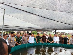 Hadirkan Makanan Bergizi, Polda Sumut Tanam Jagung dan Tebar Ribuan Benih Ikan