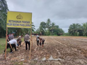 Polsek Besitang Manfaatkan Lahan Kosong, Dukung Program Ketahanan Pangan