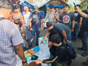 Tim Gabungan Polda Sumut dan Kodam I/BB Gerebek Barak Narkoba di Desa Naburube Julu, 2.900 Gram Ganja Disita