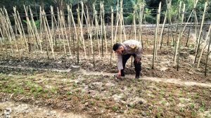 Dukung Ketahanan Pangan, Bhabinkamtibmas Polsek Stabat Sambangi Petani di Desa Sumber Mulio