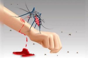 Dinkes Sumut Ungkap Total Kasus KLB DBD & Malaria Nias Selatan