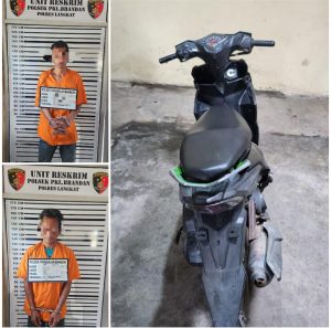 Polsek Pangkalan Berandan Tangkap Dua Pelaku Curanmor di Kecamatan Sei Lepan