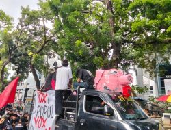 Styrofoam Kepala Babi Digiring ke DPRD Sumut