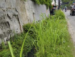 Soroti Rumput Menyemak, Dame Duma Tekankan Lurah dan Kepling di Helvetia Timur Jaga Kebersihan Wilayah