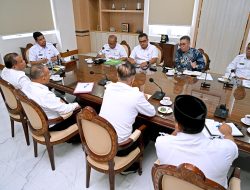 Kembalikan Kejayaan Jeruk Karo, Bobby Nasution Putuskan Intervensi Penanganan Hama Lalat Buah Secara Masif