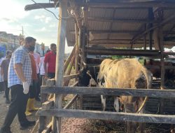 Pastikan Kesehatan Hewan Kurban, DKP3 Kota Medan Lakukan Pengecekan ke Pengepul