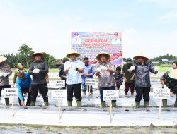 Pemkab Deli Serdang Gelar Tanam Cabai Merah Sebagai Penguatan Ketahanan Pangan