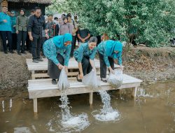 Kahiyang Ayu Tabur 15.000 Benih Ikan, Dorong Swasembada Pangan di Langkat