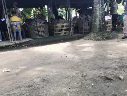 Judi Sabung Ayam Pasar 4 Marelan Masih Beroperasi, Masyarakat Ancam Lakukan Aksi