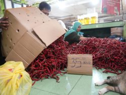 Inflasi di Sumut Terkendali, Harga Cabai Merah 35 Ribu Rupiah Per Kilogram