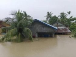 5 Kecamatan di Kabupaten Langkat Terdampak Banjir, Warga Mengungsi di Rumah Ibadah Harapkan Bantuan Pemerintah dan Evakuasi