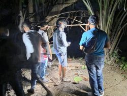 Sat Narkoba Polres Langkat Bongkar dan Musnahkan Barak Narkoba di Tanjung Pura