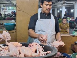 Harga Daging Ayam Turun, Sapi Stabil