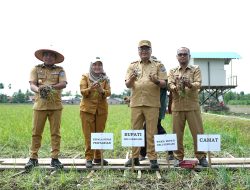Bupati Percepat Modernisasi Pertanian Demi Efisiensi dan Produktivitas