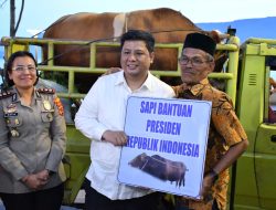 Bupati Samosir Serahkan Hewan Qurban Bantuan Presiden dan Pemkab