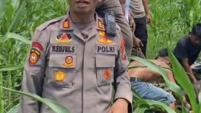 Respon Cepat Sat Samapta Polres Langkat Berhasil Amankan Hewan Qurban Lepas di Stabat