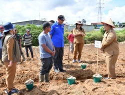 Bupati Samosir Salurkan 5 Ton Bibit Kentang, Ajak Kelompok Tani Buktikan Keberhasilan Program Sumut Berkah