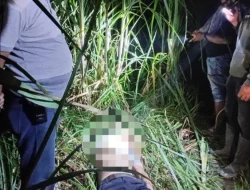 Diduga Jadi Korban Perampokan, Jasad Driver Taksi Online Ditemukan di Kebun Tebu Buluh Cina