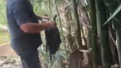 Sulap Pohon Bambu Jadi Gudang Penyimpanan Narkoba, Satresnarkoba Polrestabes Medan Bongkar Modus Baru Peredaran Ganja