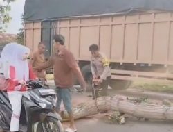 Pohon Tumbang Timpa Truk di Desa Pematang Tengah, Polisi Bergerak Cepat Evakuasi Lokasi