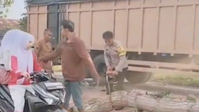Pohon Tumbang Timpa Truk di Desa Pematang Tengah, Polisi Bergerak Cepat Evakuasi Lokasi
