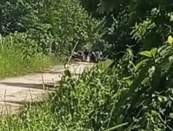 Lingkungan Sekolah Diduga Jadi Lokasi Transaksi Narkoba, Warga Pertanyakan Komitmen Polres Langkat