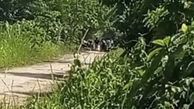 Lingkungan Sekolah Diduga Jadi Lokasi Transaksi Narkoba, Warga Pertanyakan Komitmen Polres Langkat