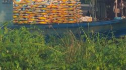 Pengiriman Beras Keluar Batam Tanpa Dokumen di Pelabuhan Haji Sage Beraktivitas Kembali