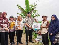 Bawang Merah Mulai Dikembangkan di Namorambe, Target 13 Ton per Hektare