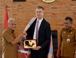 Wagub Surya Tawarkan Potensi Investasi Sumut kepada Duta Besar Belgia