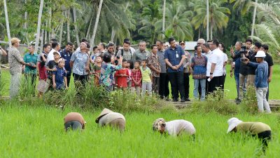 Bobby Nasution Tinjau Irigasi Afia, Dorong Produktivitas dan Sejahterakan Petani Gunungsitoli