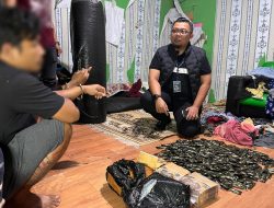 Gudang Pengolahan Pinang Jadi Gudang Narkoba, Puluhan Ribu Berbagai Jenis Narkoba Disita