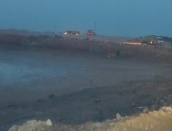 10 Hektare Pesisir Laut di Kelurahan Teluk Tering Batam Center Hilang Jadi Daratan, Segel BP Batam Diduga Tak Digubris
